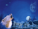 Beautiful background paper showing a deep blue night scene with a  wolf pack & a full moon